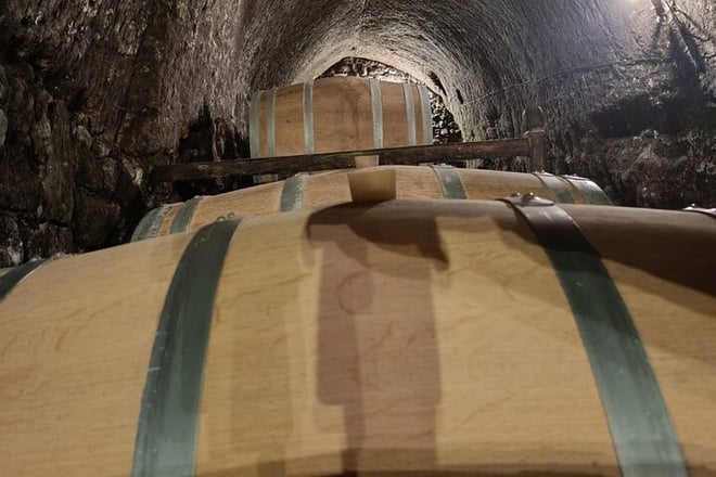 2 Day Ribera del Duero Private Wine Tour from Madrid - Photo 7