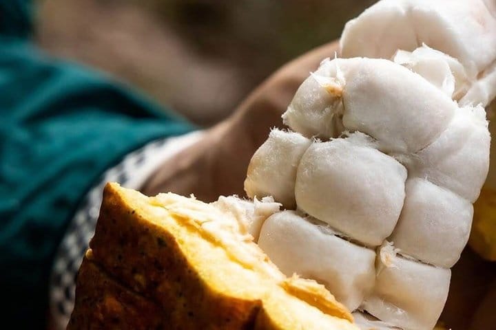 BUGGY & ATV # 1 Adventures IN PUNTACANA