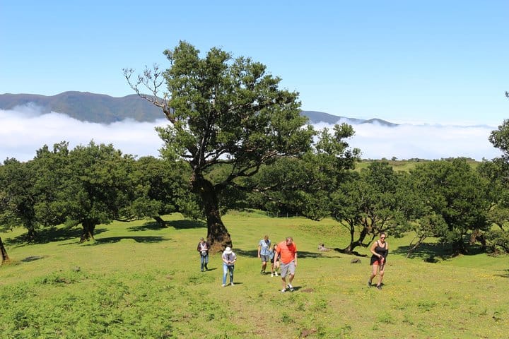 Northwest Terraces and Volcanic Pools 4x4 Full Day Tour 6