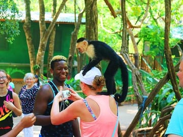 Friendly capuchin monkeys