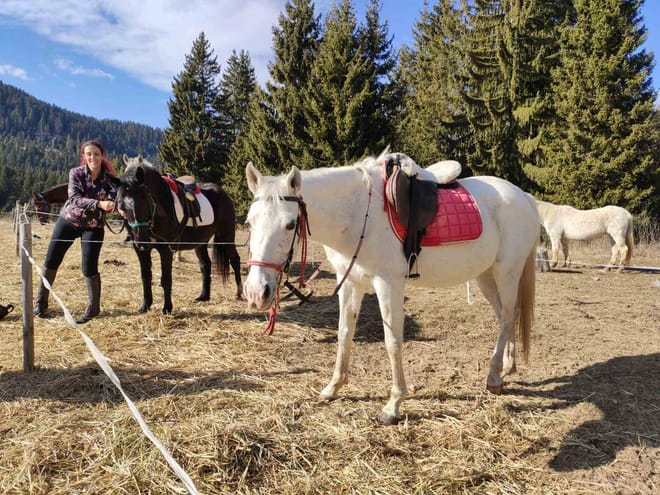 Private 3-day Horse Riding Trip with Superb Accommodation photo 2