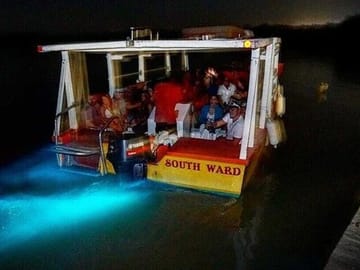 Luminous Lagoon Bioluminescent Boat Tour in Falmouth, Jamaica