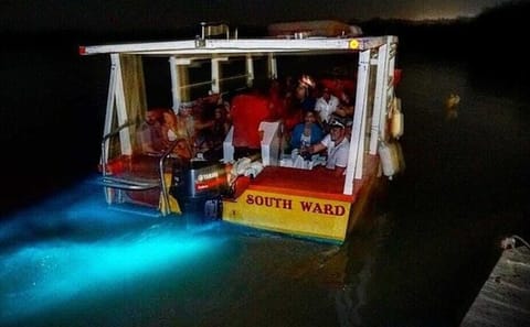 Luminous Lagoon Bioluminescent Boat Tour in Falmouth, Jamaica