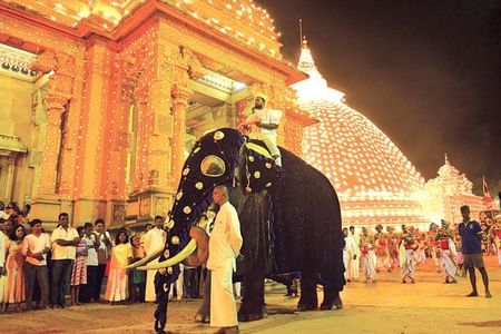 Colombo Port Shore Excursions Colombo City & Kelaniya Temple