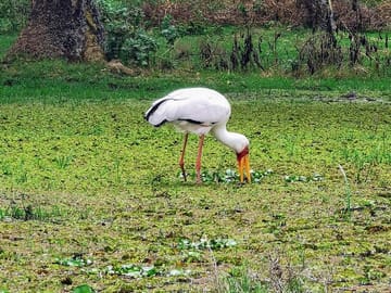 2-Day Private Safari to Lake Nakuru and Hell’s Gate Parks