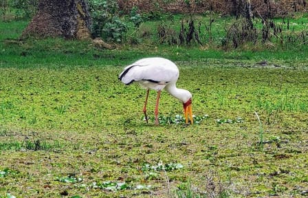 2-Day Private Safari to Lake Nakuru and Hell’s Gate Parks