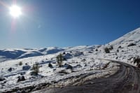 Private Full-Day Tour to El Yeso Reservoir and Maipo Valley 5