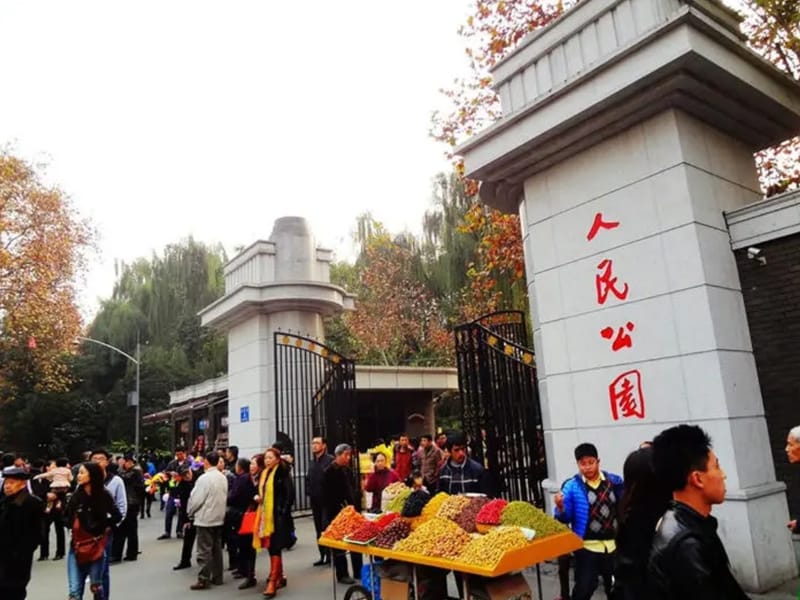 3-Hour Walking Tour in Chengdu People's Park and Learning Mahjong