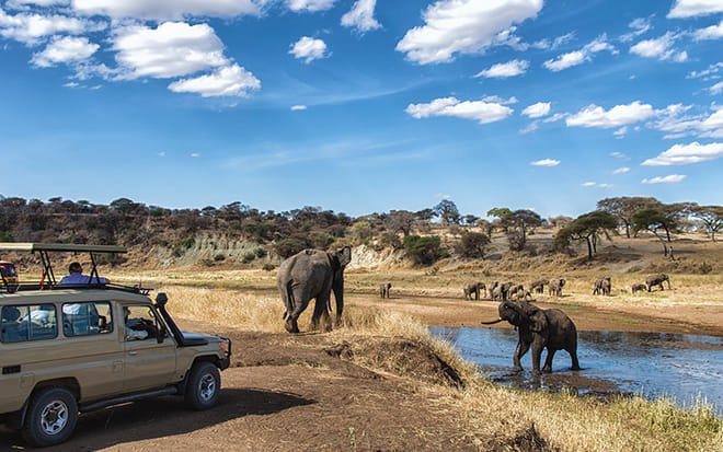 6Days Tanzania Tented Camping Safari : Serengeti, Lake Manyara,  Ngorongoro Crater &  Tarangire National Park 7