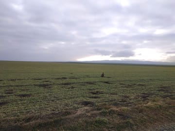 diverse fauna of vashlovani national park