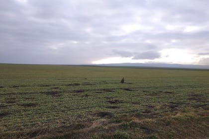 Discover Vashlovani: A Scenic Day Tour from Tbilisi