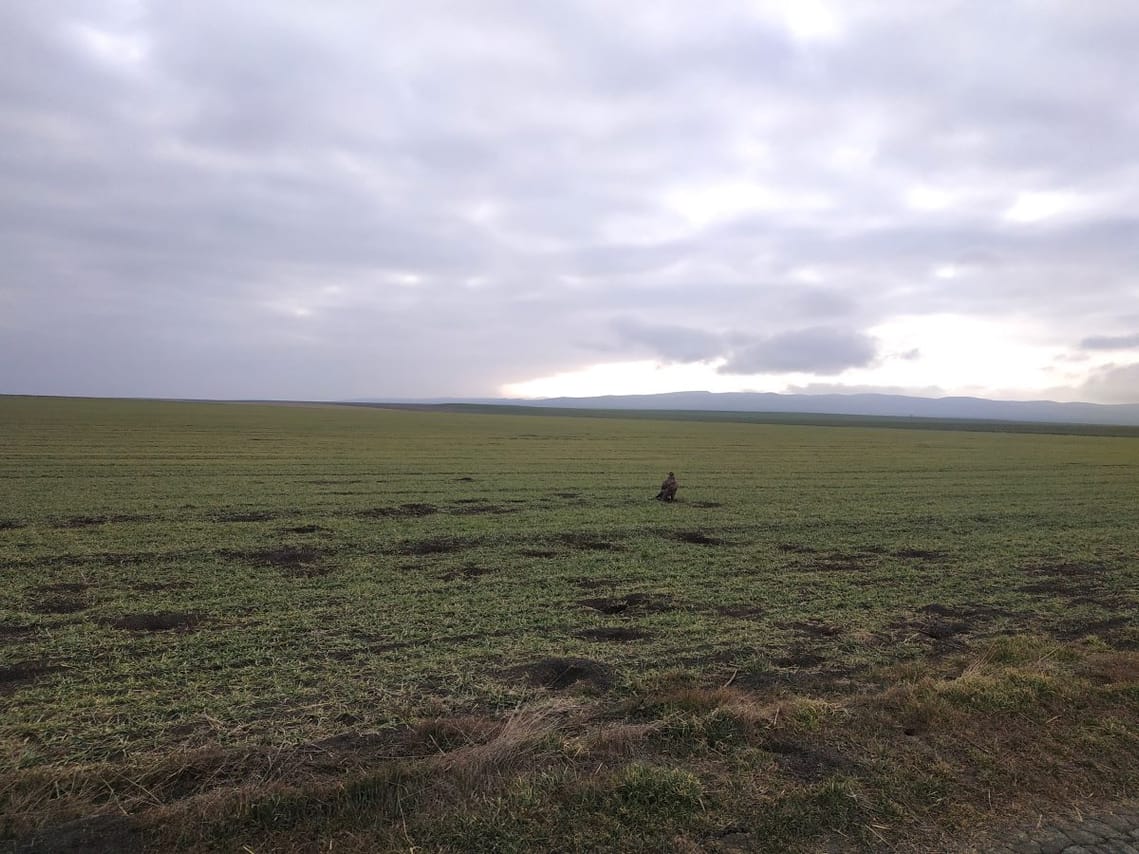 diverse fauna of vashlovani national park