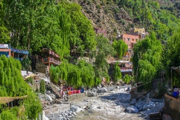 Full-Day Ourika Valley Tour from Marrakech