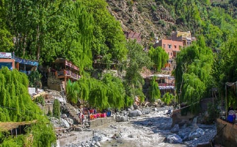 Full-Day Ourika Valley Tour from Marrakech
