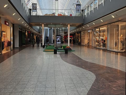 Reykjavik Shopping Spree Private Tour, photo 2