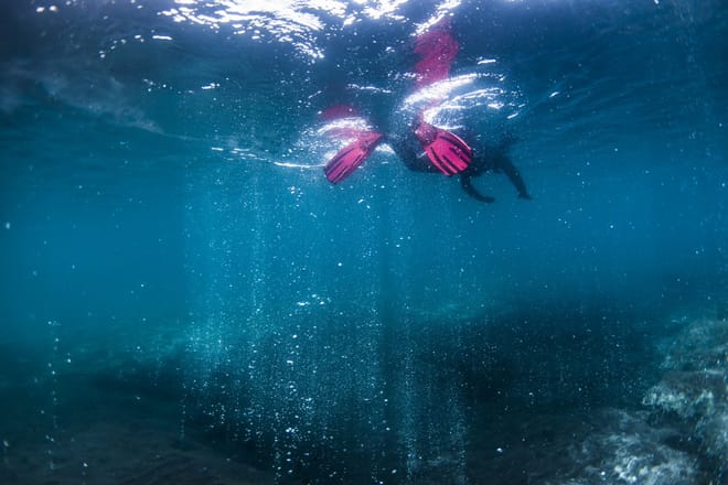 snorkeler
