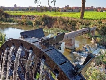 2 Days Camping Trip PRIVATE in Fayoum Oasis from Cairo