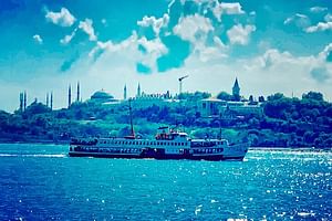 Private and Guided Istanbul Luxury Bosporus Tour - 2-hour long yacht tour. 