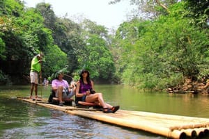 PHUKET-PHANG NGA: Bamboo Rafting, Elephant Bathing + Riding, Sea Turtle and activities choice