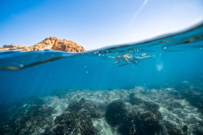 Private Los Cabos snorkeling tour to Chileno bay and Santa Maria cove 6