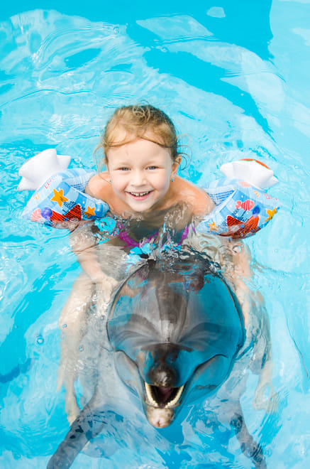 Premium 10 Minutes Dolphin Swimming Experience - Hurghada photo 2