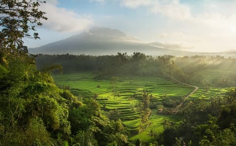 Lempuyang Cultural and Scenic Tour in Ubud, Bali
