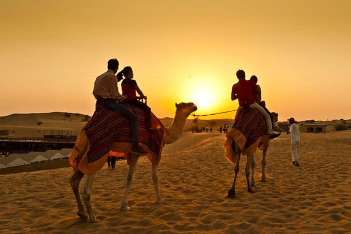 Dubai Desert Excursions with BBQ Dinner & Live Entertainment