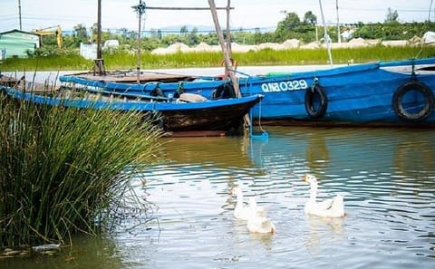 Hoi An Countryside Cycling Tour with Local Culture Insights