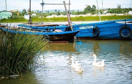 Hoi An Countryside Cycling Tour with Local Culture Insights