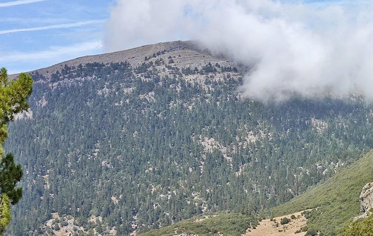 From Chefchaouen: Full day excursion to Jbel Lakraa (highest in Talassemtane Park)