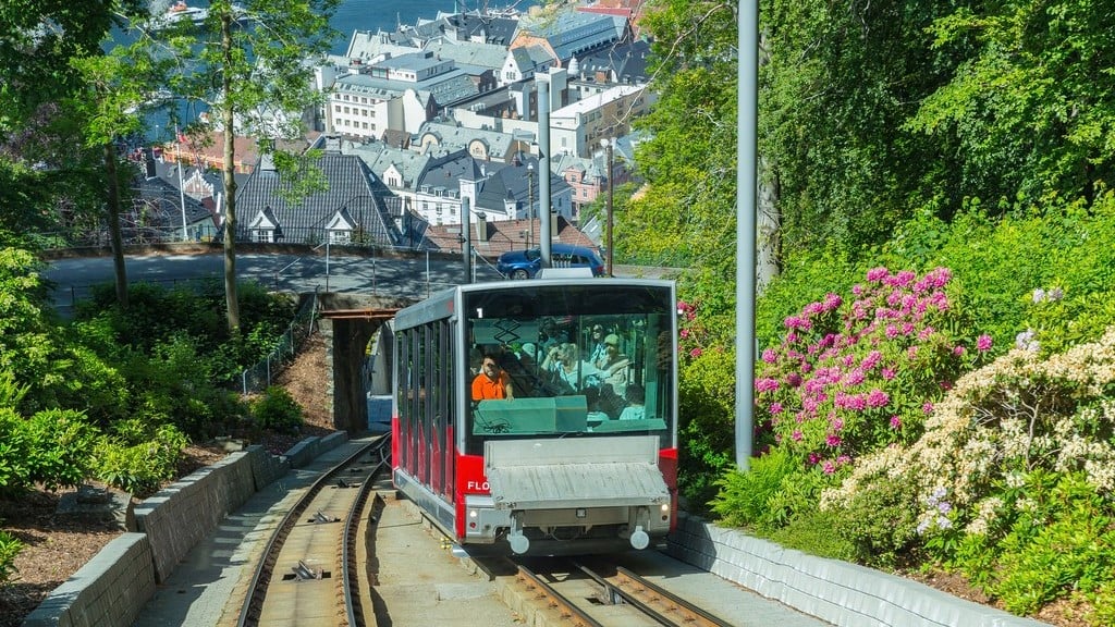 Fløien Funicular - Bergen City Sightseeing - Private Guided Tour