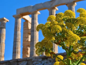 Private Full-Day Tour of Athens and Temple of Poseidon