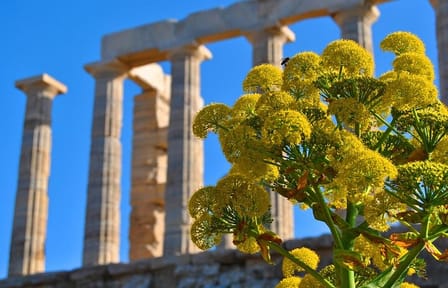 Private Full-Day Tour of Athens and Temple of Poseidon