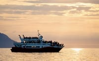 Akureyri Classic Whales in the Midnight Sun 2