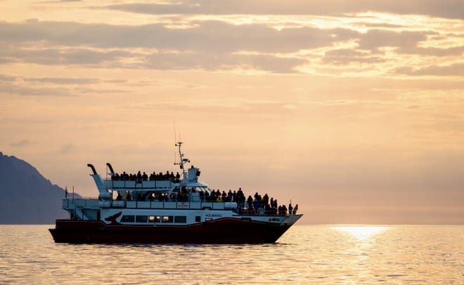 Akureyri Classic Whales in the Midnight Sun 2