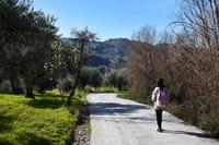 Hiking in the Canyon of the Monachil Cubs in Granada 9