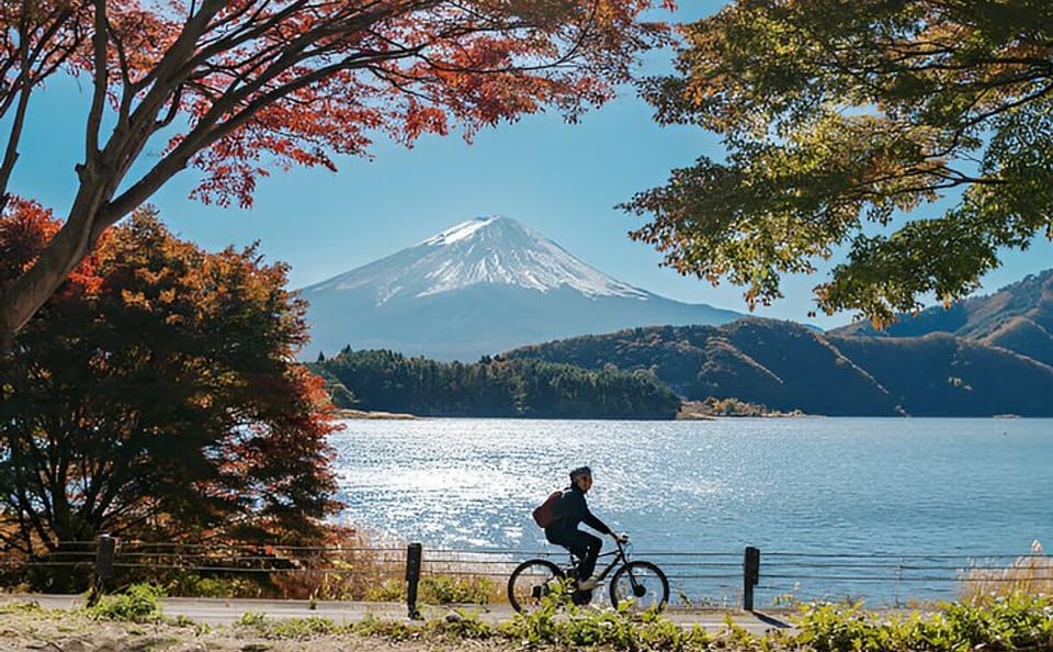 Fuji Five Lakes Guided Day Trip