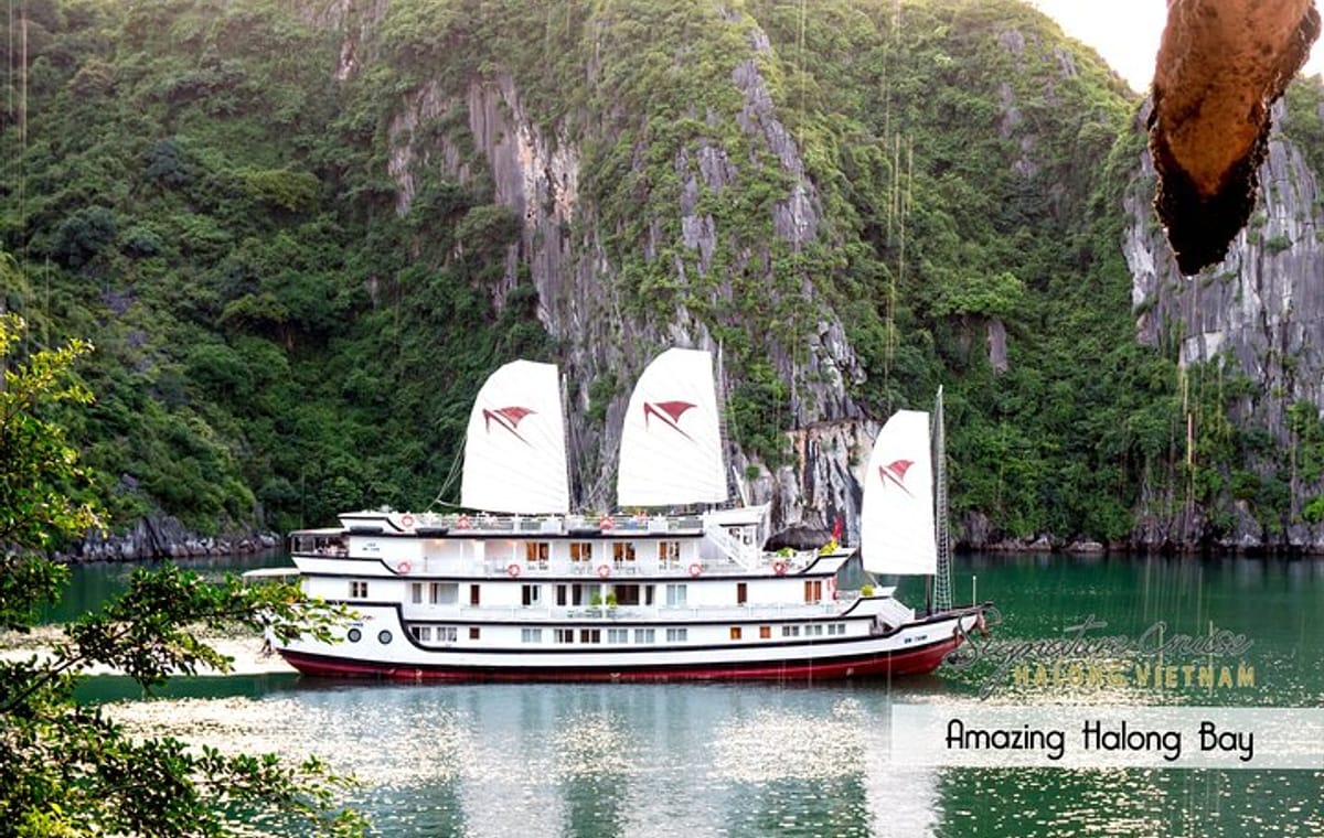 Signature Halong Cruise 2 Day Bai Tu Long Bay (Less Tourist Area)