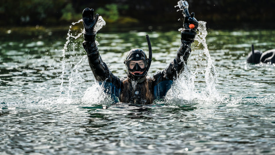 Silfra is a snorkel for almost everyone and a dive for a few
