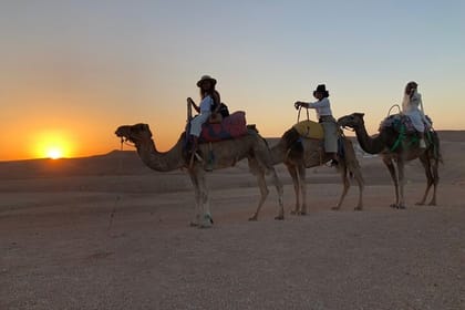 Marrakech to Agafay Camel Ride and Delicious Desert Lunch