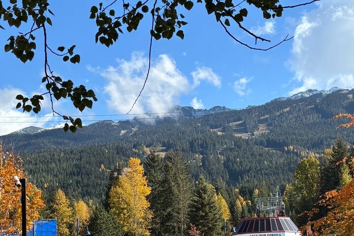 Whistler Mountain in Falls