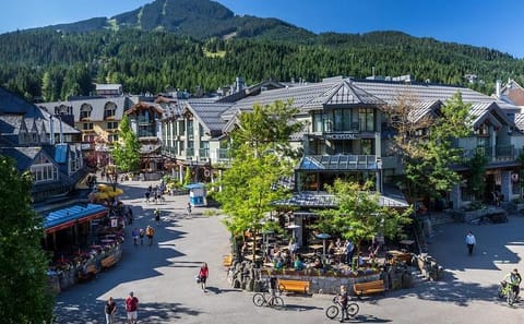 Private Bus Tour from Vancouver to Whistler with Gondola Ride