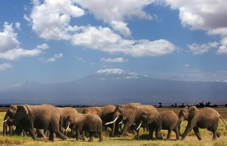 3-Day Private Amboseli Safari with Maasai Village Visit from Mombasa