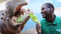 Emirates Park Zoo Abu Dhabi Tickets 2