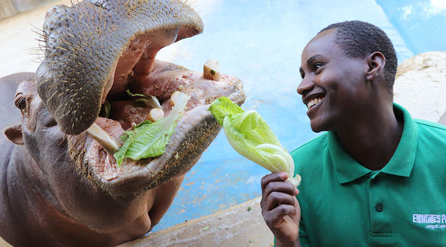 Emirates Park Zoo Abu Dhabi Tickets 2