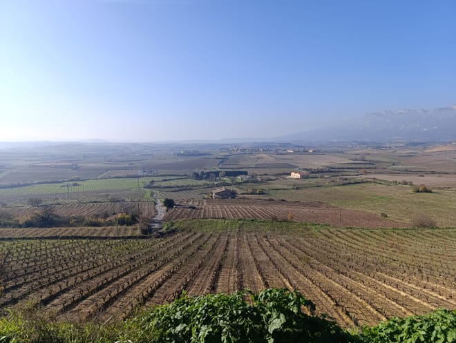 Three Day Rioja Wine Experience - Photo 9