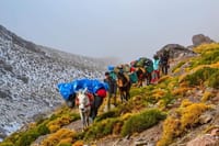 Hiking and Hiking Morocco www.adraraventure.ma