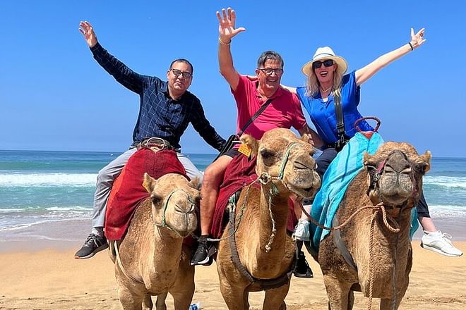 Private full Day Tour in Tangier including camel ride