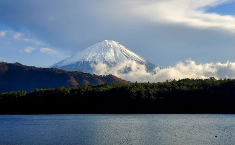 Yokohama Port to Mt. Fuji English Guided Private Tour