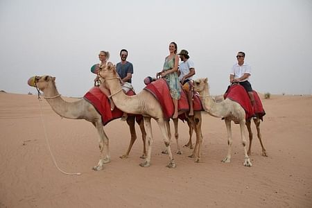 Sunrise Camel Trek in Dubai’s Arabian Desert with Traditional Breakfast